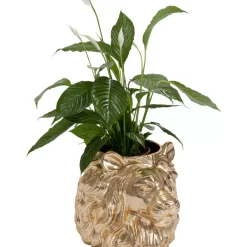 KARE Design Deko Ubertopf Lion Gold- Aufbewahrung & Ordnung