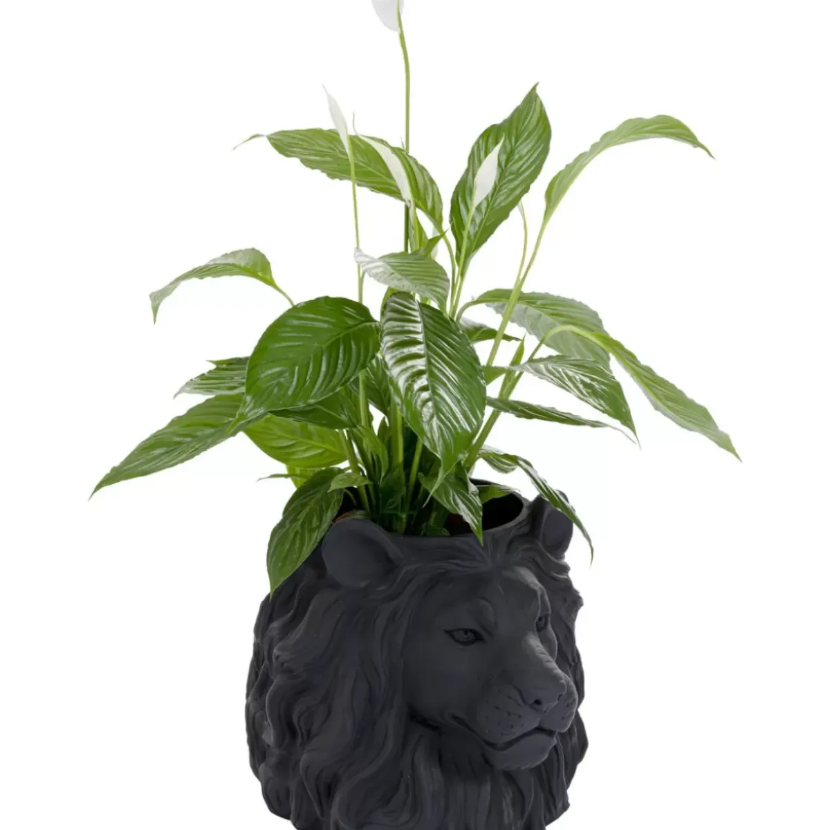 KARE Design Deko Ubertopf Lion Schwarz- Aufbewahrung & Ordnung