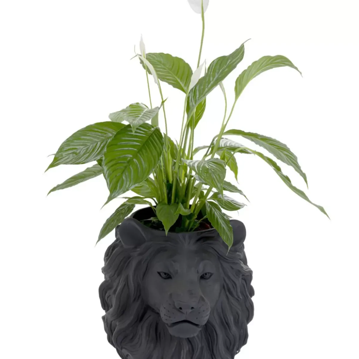 KARE Design Deko Ubertopf Lion Schwarz- Aufbewahrung & Ordnung