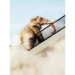 KARE Design Gerahmtes Bild Elephant In The Sky 150X100Cm- Bilder