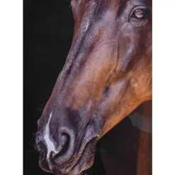 KARE Design Gerahmtes Bild Wendy 75X105Cm- Bilder