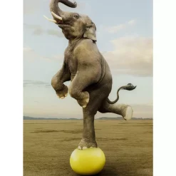 KARE Design Glasbild Balance Elephant 150X100Cm- Bilder