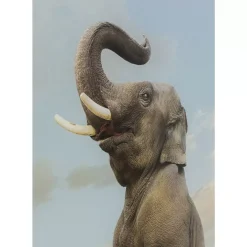 KARE Design Glasbild Balance Elephant 150X100Cm- Bilder