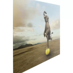 KARE Design Glasbild Balance Elephant 150X100Cm- Bilder