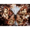 KARE Design Glasbild Butterfly 150X100Cm- Bilder