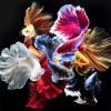 KARE Design Glasbild Colorful Swarm Fish 120X120Cm- Bilder