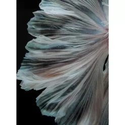 KARE Design Glasbild Colorful Swarm Fish 120X120Cm- Bilder