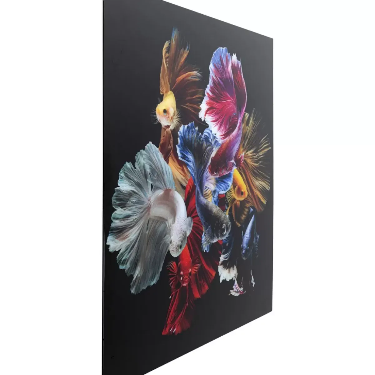 KARE Design Glasbild Colorful Swarm Fish 120X120Cm- Bilder