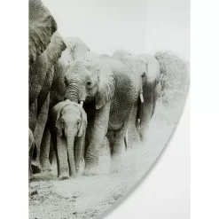 KARE Design Glasbild Elephant Walk O120Cm- Bilder