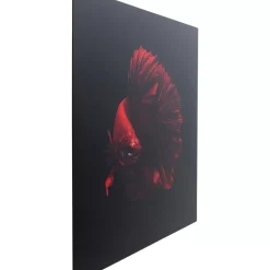 KARE Design Glasbild Fire Fish 100X100Cm- Bilder