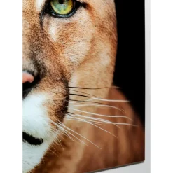 KARE Design Glasbild Lioness 150X100Cm- Bilder