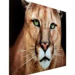 KARE Design Glasbild Lioness 150X100Cm- Bilder
