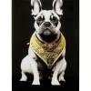 KARE Design Glasbild Noble Dog 40X60Cm- Bilder
