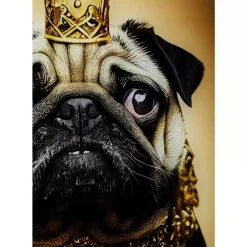 KARE Design Glasbild Prince Pug 40X60Cm- Bilder