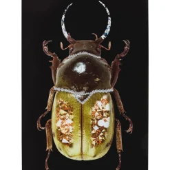 KARE Design Glasbild Shiney Dung Beetle 80X120Cm- Bilder