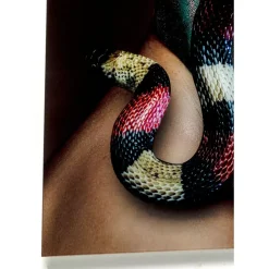 KARE Design Glasbild Snake Girl 80X120Cm- Bilder
