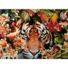 KARE Design Glasbild Tiger On Hunt 150X100Cm- Bilder