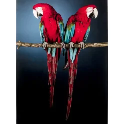 KARE Design Glasbild Twin Parrot 80X120Cm- Bilder