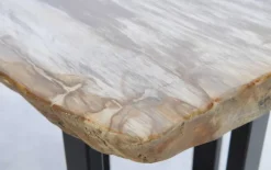 KARE Design Konsole Alfredo Versteinertes Holz- Tische