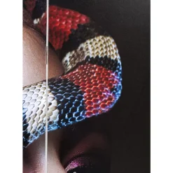 KARE Design Paravent Royal Headdress Vs Snake Girl 120X180Cm- Paravents