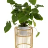 KARE Design Pflanzenstander Wire Gold 44Cm- Aufbewahrung & Ordnung