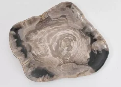 KARE Design Platte Drakenhart Versteinertes Holz- Geschirr & Tischaccessoires