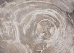 KARE Design Platte Drakenhart Versteinertes Holz- Geschirr & Tischaccessoires