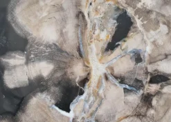 KARE Design Platte Elfenbos Versteinertes Holz- Geschirr & Tischaccessoires