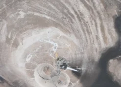 KARE Design Platte Nachtwoud Versteinertes Holz- Geschirr & Tischaccessoires