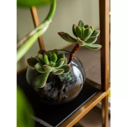 KARE Design Regal Cesaro 90X170Cm- Regale