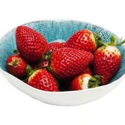 KARE Design Schale Mustique O17- Geschirr & Tischaccessoires