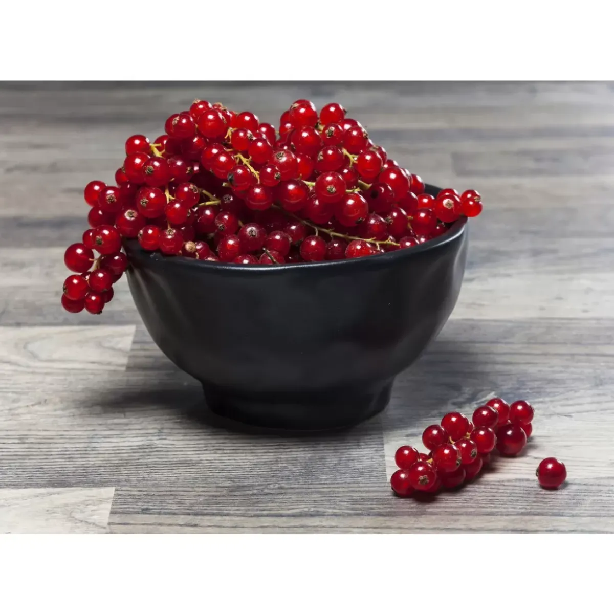 KARE Design Schale Organic Black O15Cm- Geschirr & Tischaccessoires