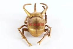 KARE Design Wandschmuck Atlas Beetle Gold- Bilder