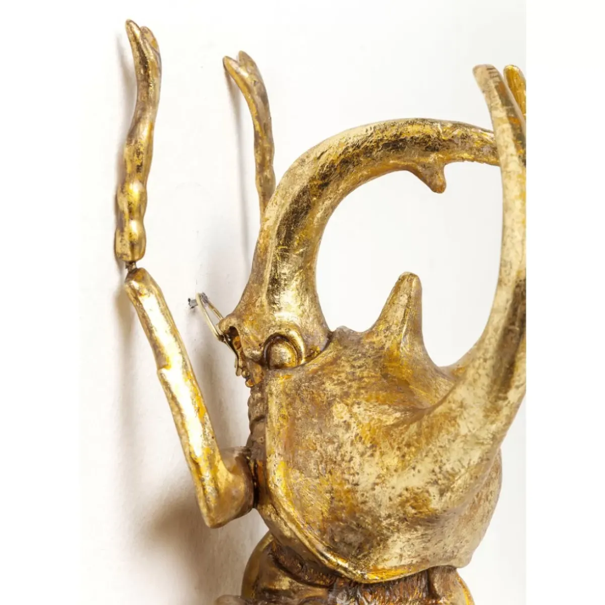 KARE Design Wandschmuck Atlas Beetle Gold- Bilder