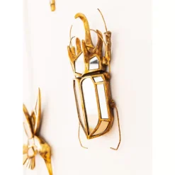 KARE Design Wandschmuck Beetle Mirror- Bilder