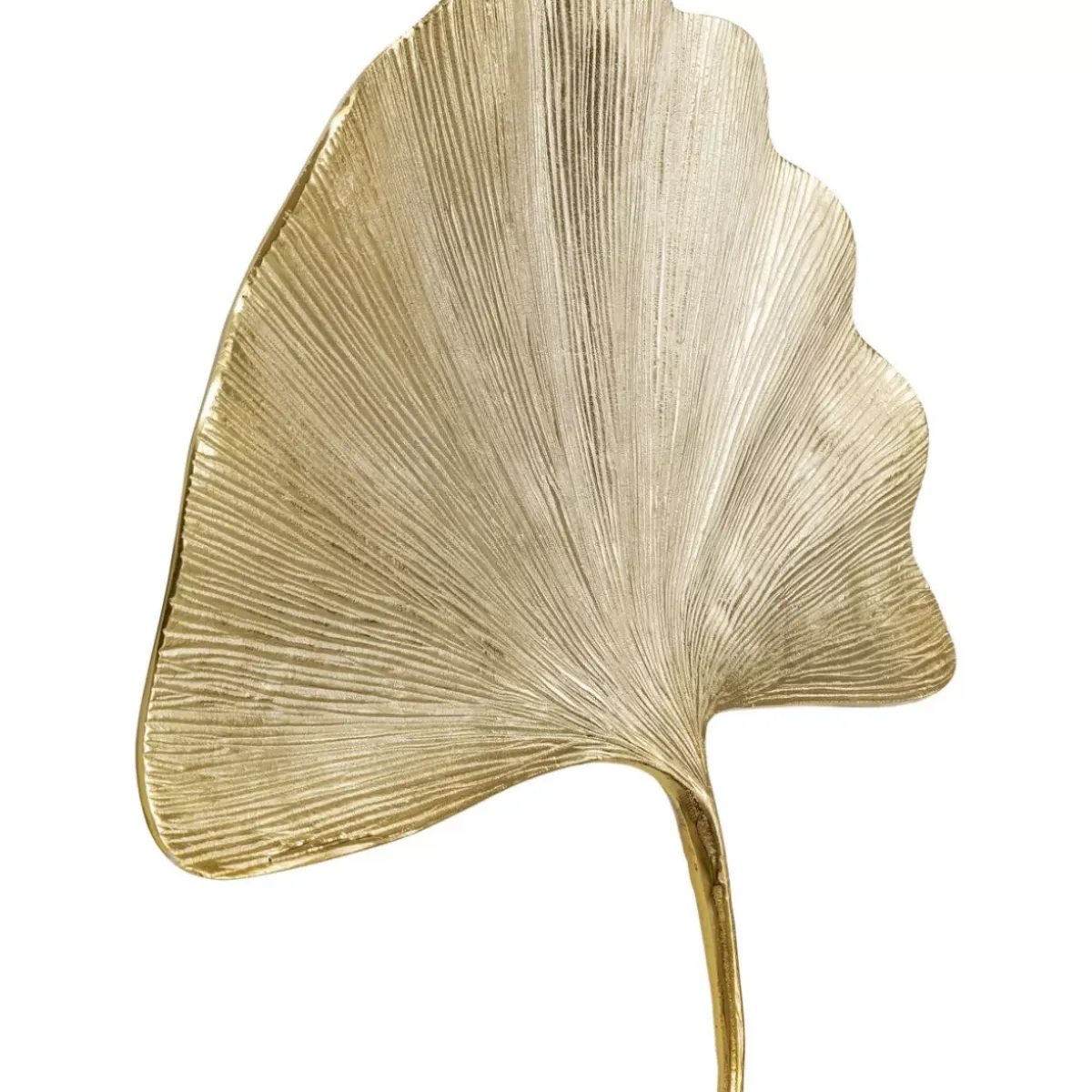 KARE Design Wandschmuck Ginkgo Leaf 59Cm- Bilder
