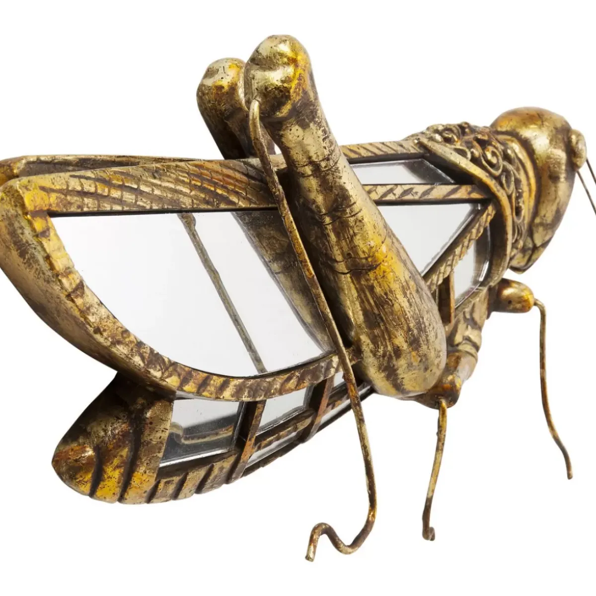 KARE Design Wandschmuck Grasshopper Mirror- Bilder