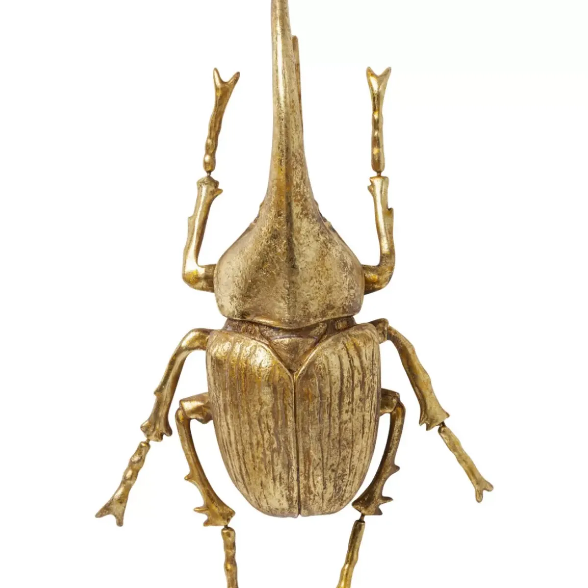 KARE Design Wandschmuck Herkules Beetle Gold- Bilder
