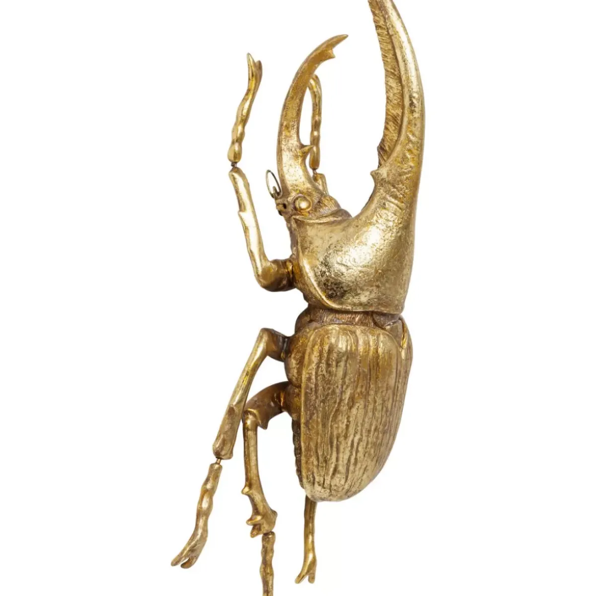 KARE Design Wandschmuck Herkules Beetle Gold- Bilder