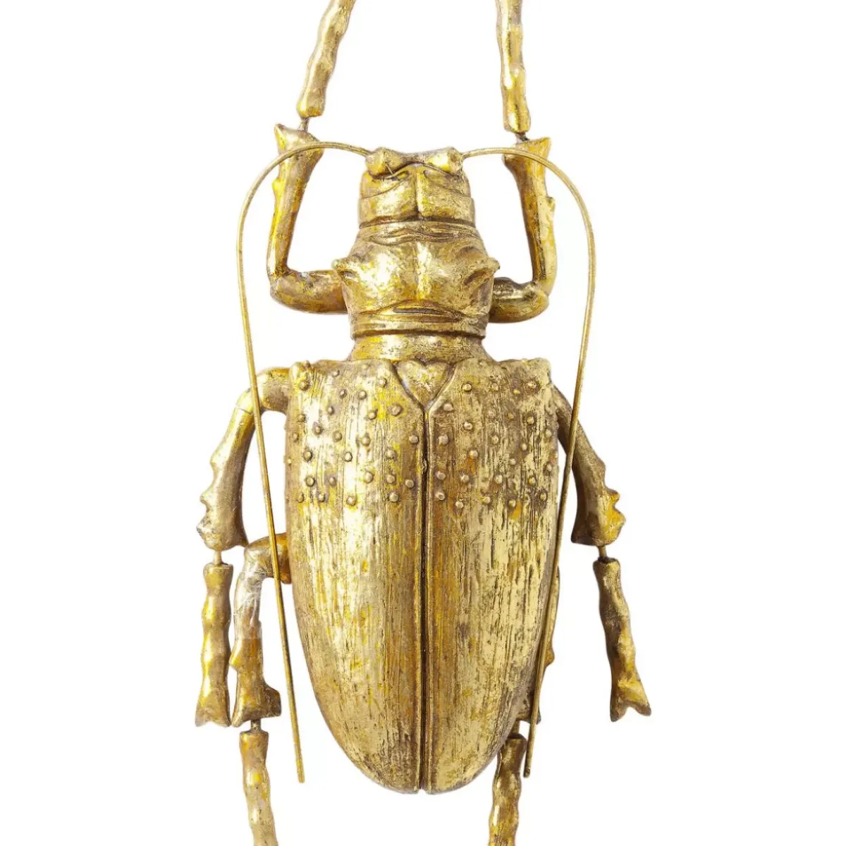 KARE Design Wandschmuck Longicorn Beetle Gold- Bilder