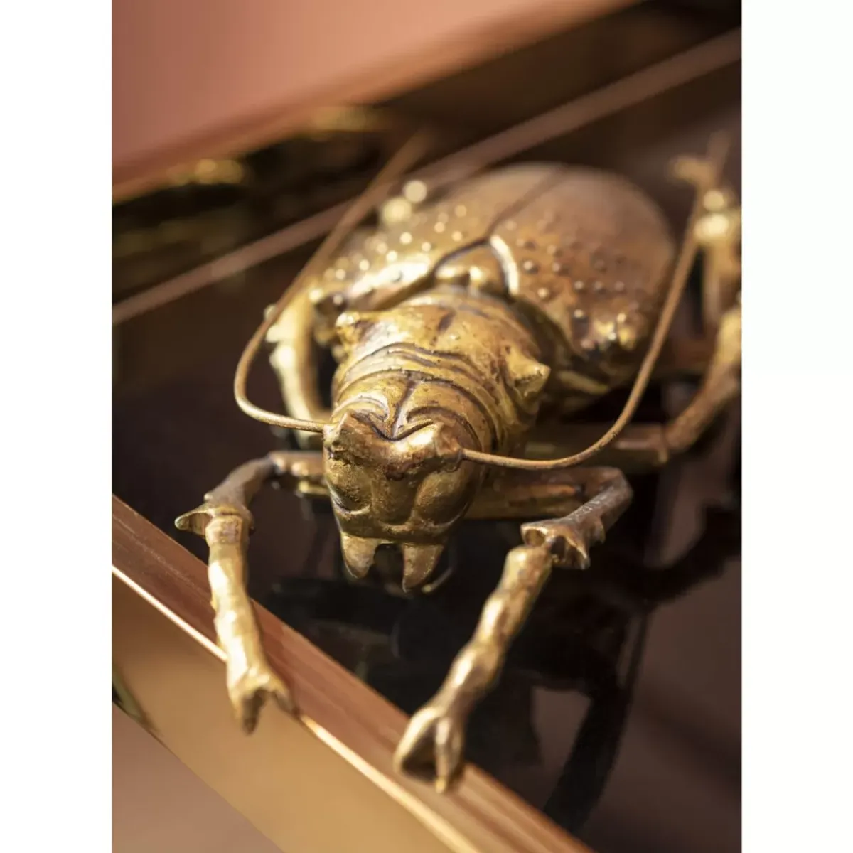 KARE Design Wandschmuck Longicorn Beetle Gold- Bilder