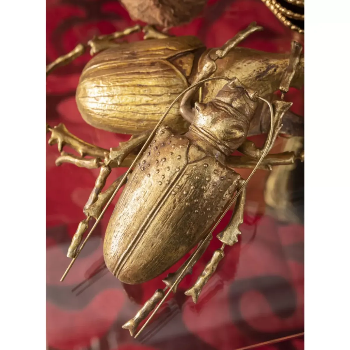 KARE Design Wandschmuck Longicorn Beetle Gold- Bilder