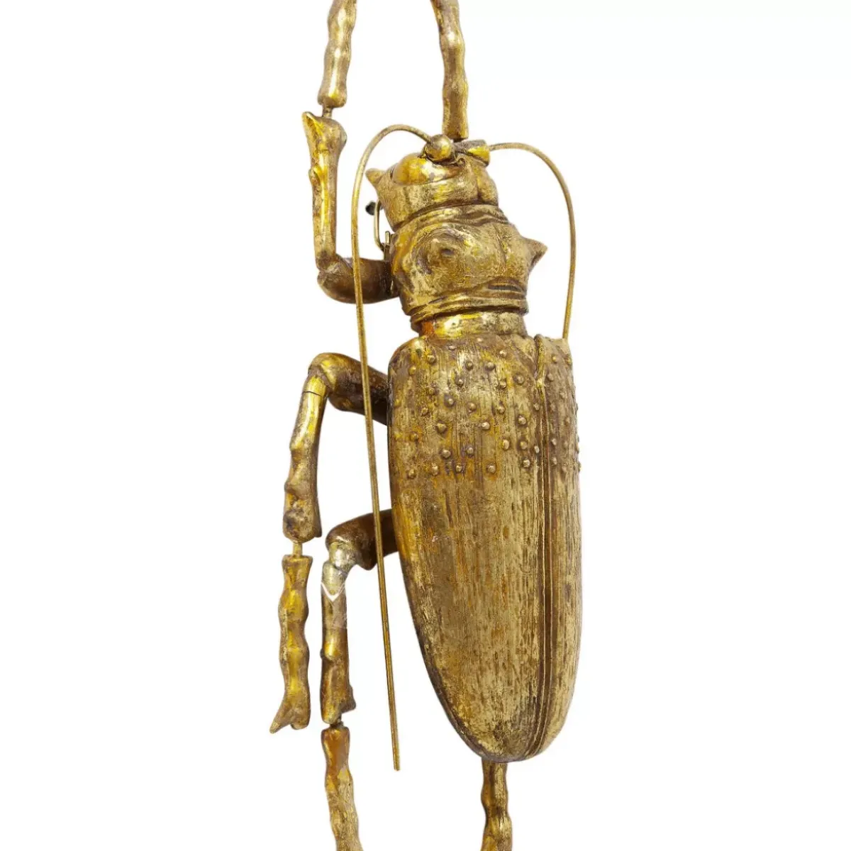 KARE Design Wandschmuck Longicorn Beetle Gold- Bilder