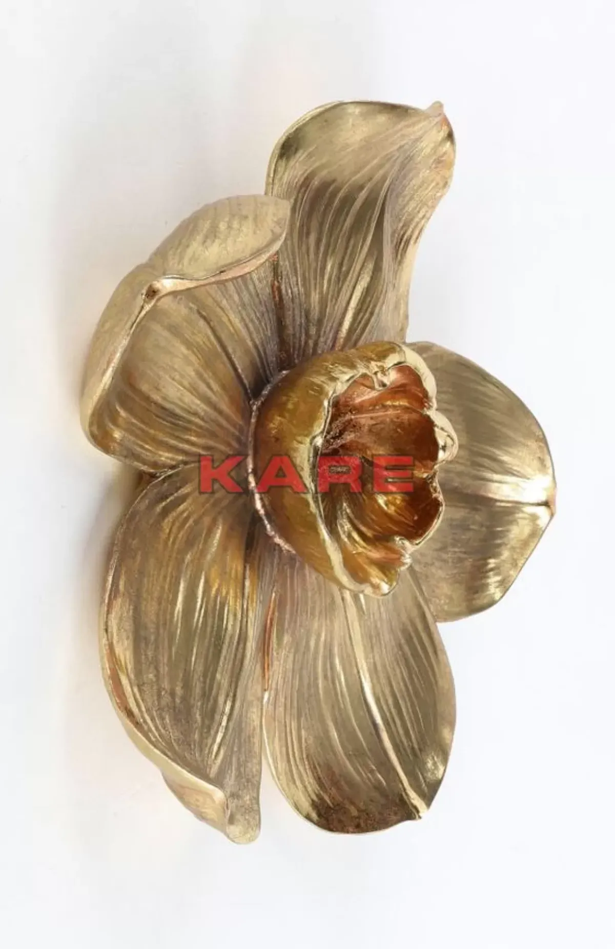 KARE Design Wandschmuck Orchid Gold 44Cm- Bilder