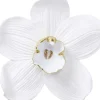 KARE Design Wandschmuck Orchid Weis 54Cm- Bilder