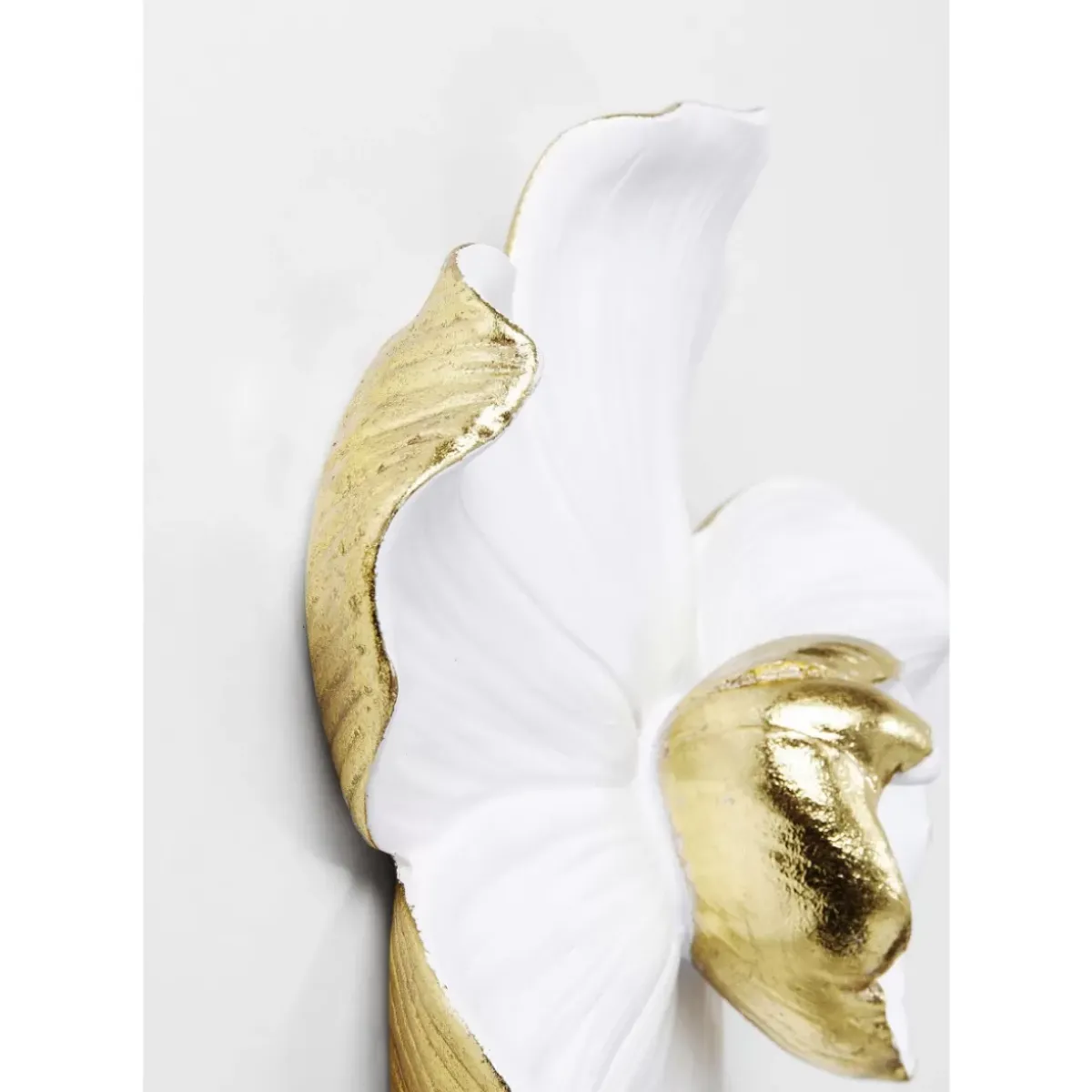 KARE Design Wandschmuck Orchid Weis 25Cm- Bilder