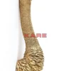 KARE Design Wandschmuck Ostrich Gold- Bilder