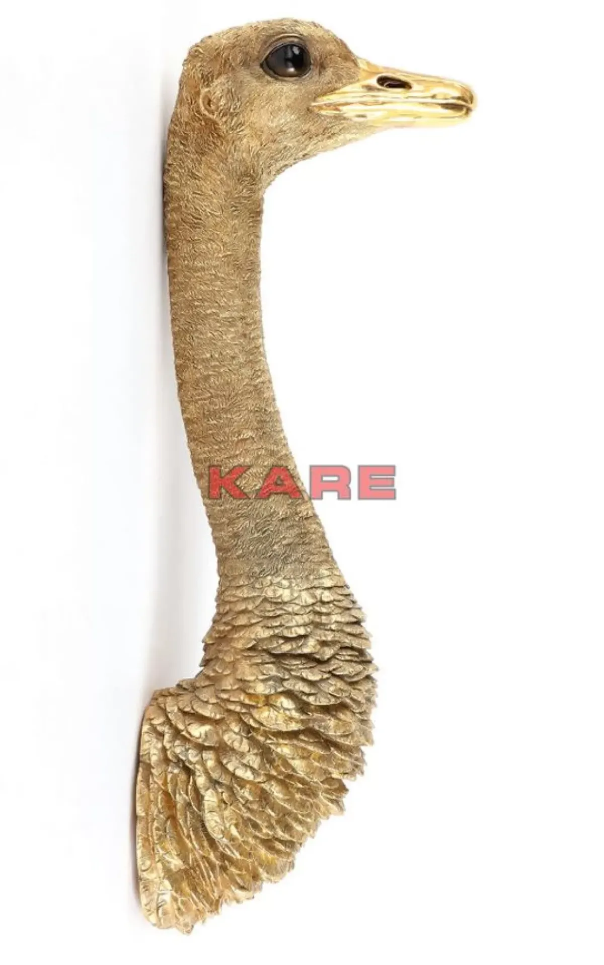 KARE Design Wandschmuck Ostrich Gold- Bilder