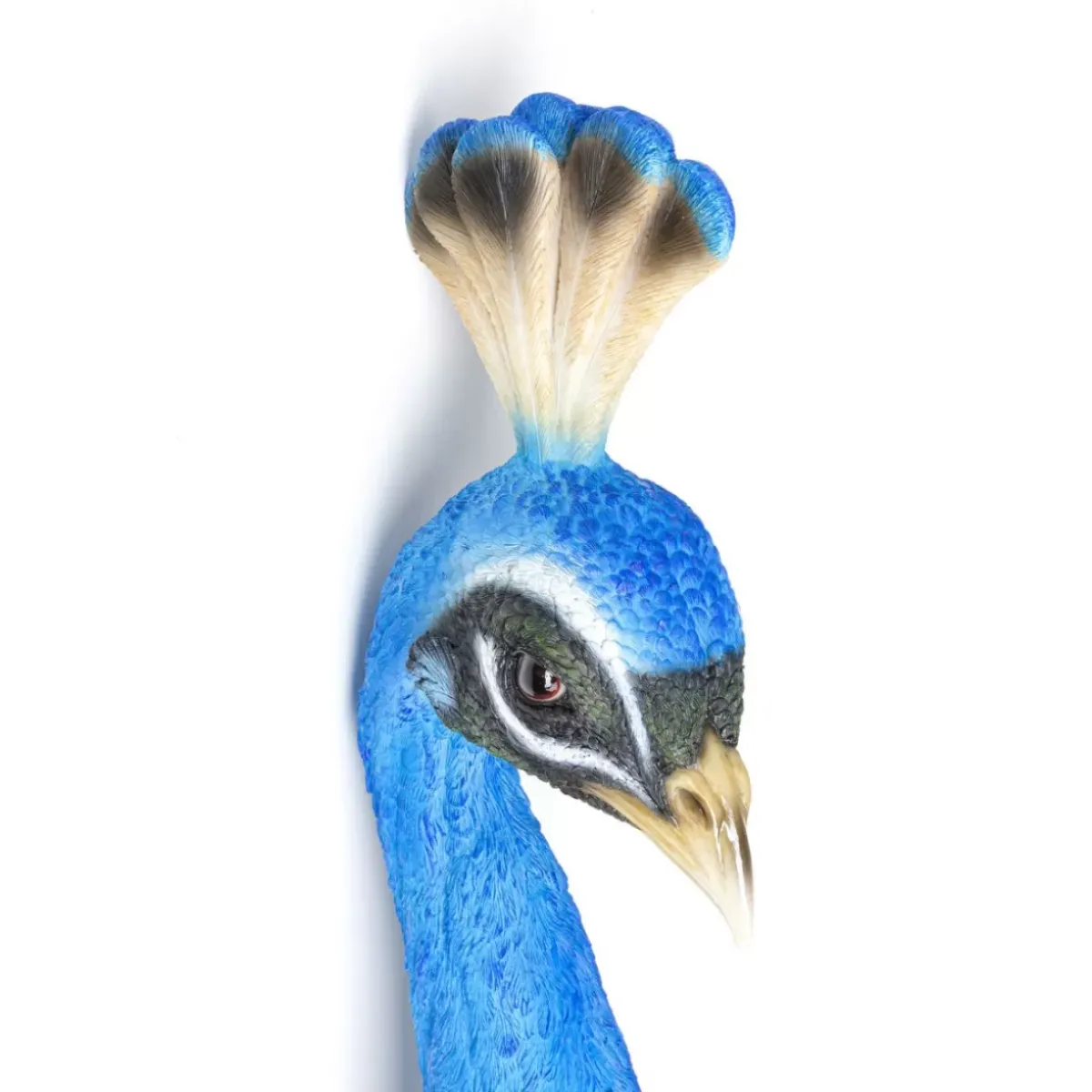 KARE Design Wandschmuck Peacock- Bilder